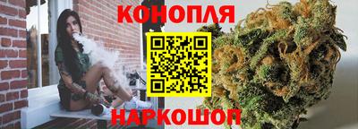 индика Пенза