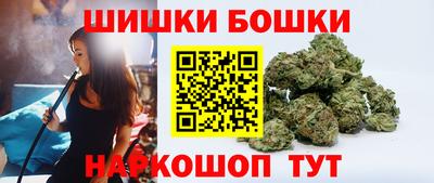 индика Пенза