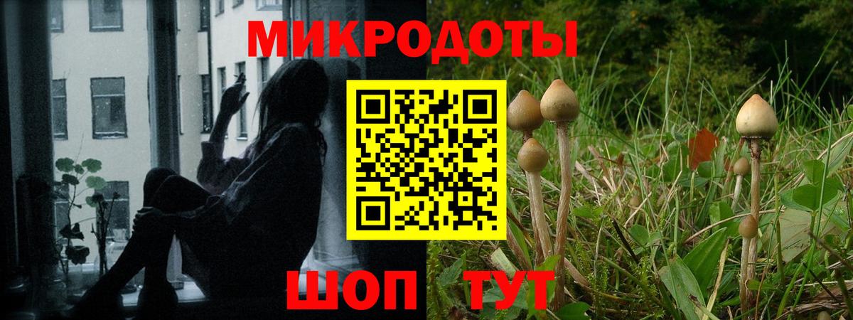 Псилоцибиновые грибы Cubensis  Вход с VPN  Семёнов 